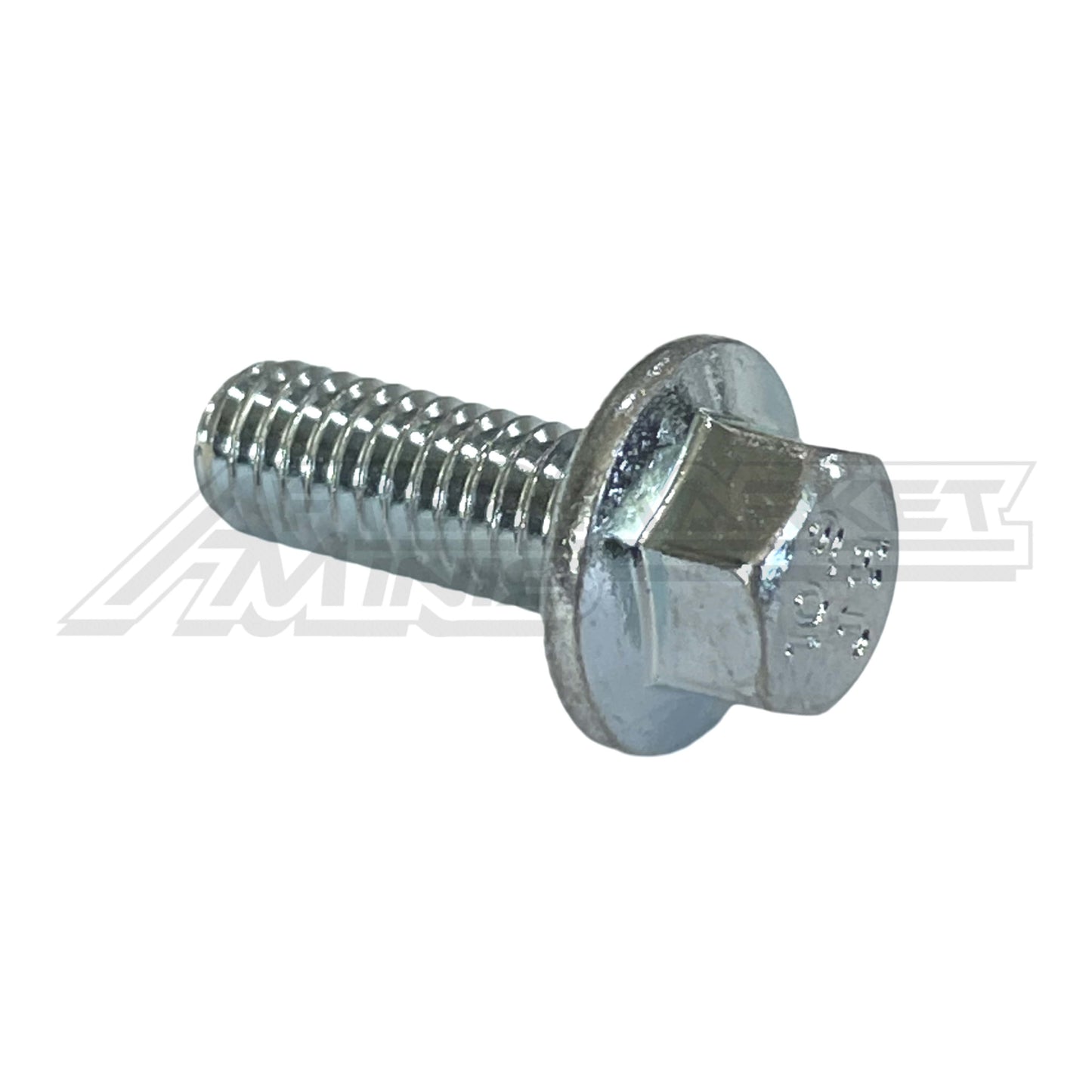 Cobra 50 Sr / FWE - Frame - 2021-2023