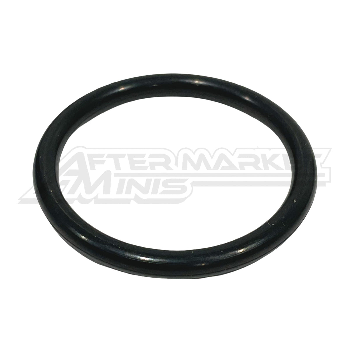 2025 Cobra 50 FWE Fork Leg - Non-Brake Side
