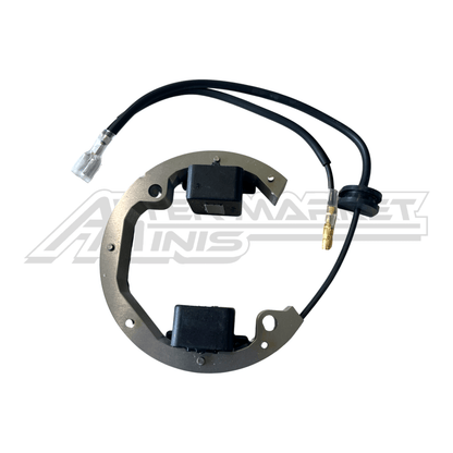 Husqvarna TC 50 2017-2023 - Ignition System