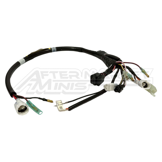 17. PW50 Wire Harness